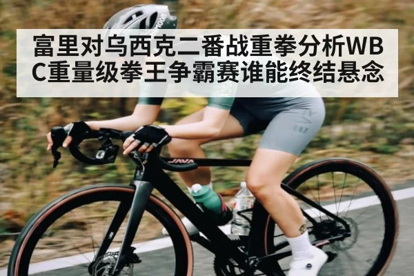富里对乌西克二番战重拳分析WBC重量级拳王争霸赛谁能终结悬念